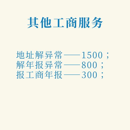 其余财务服务